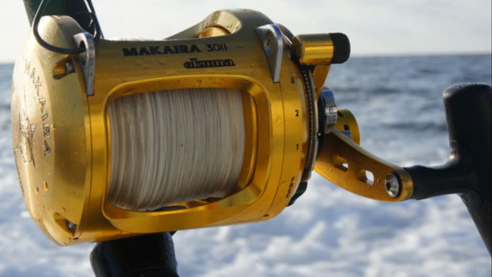 sportfishing-dorado-puerto-vallarta